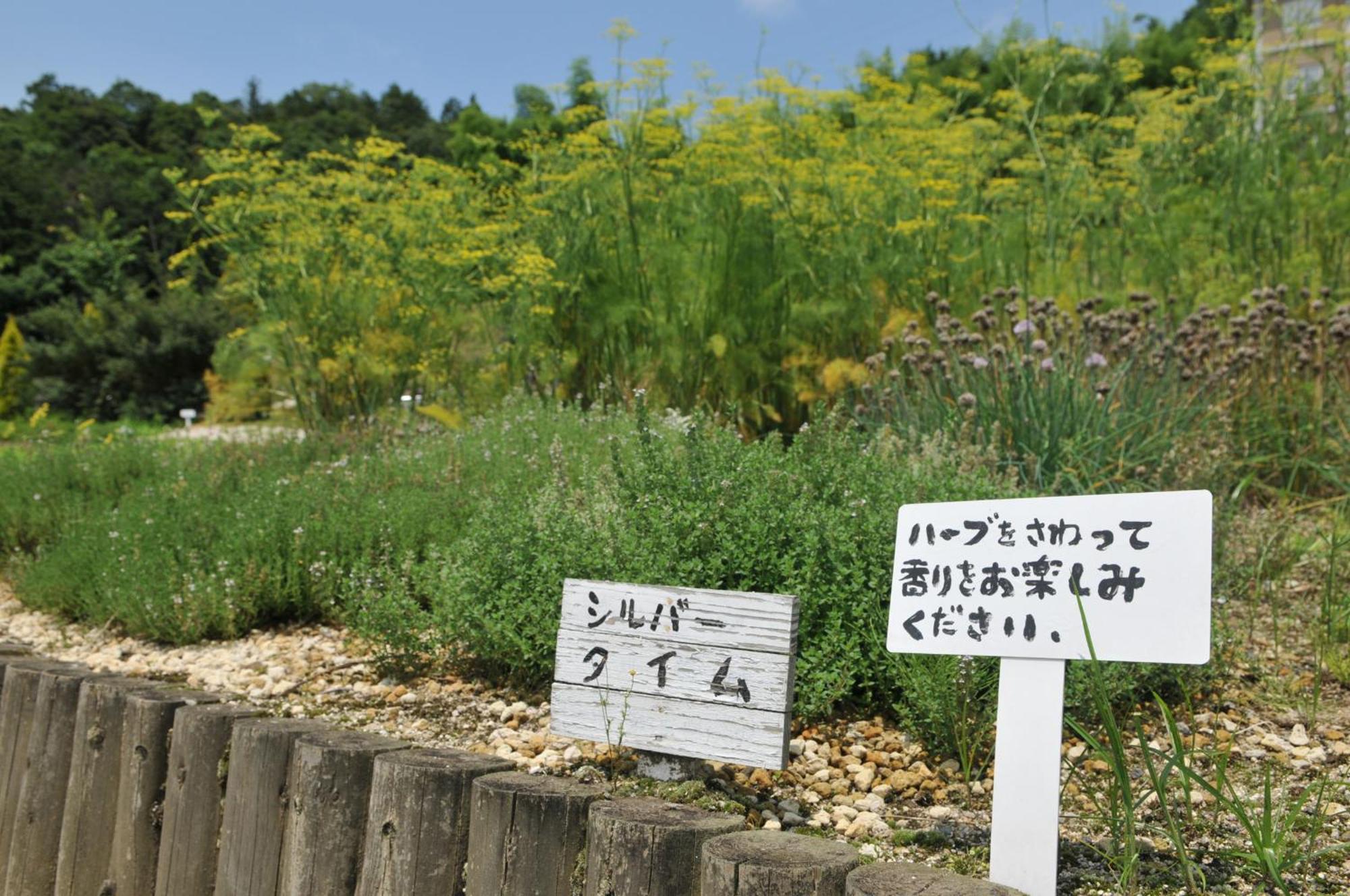 Hashidate Bay Hotel Yosano Buitenkant foto